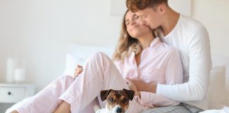 Автобусные экскурсии по Санкт-Петербургу: история, архитектура, must-see места экскурсия по СПб