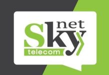 SkyNet: жизнь Санкт-Петербурга онлайн